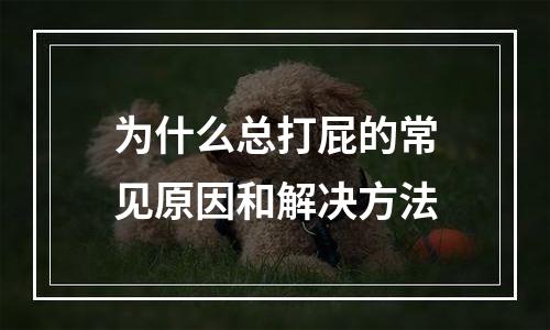 为什么总打屁的常见原因和解决方法