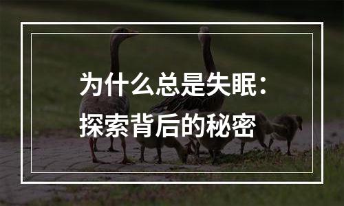 为什么总是失眠：探索背后的秘密