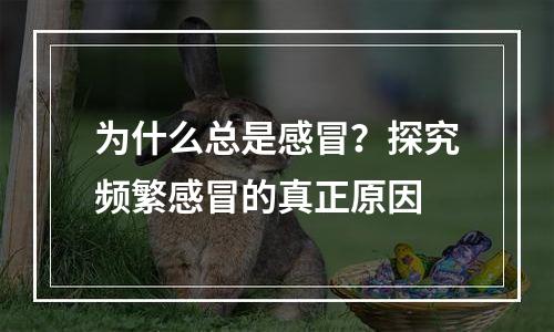 为什么总是感冒？探究频繁感冒的真正原因