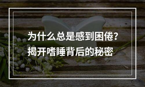 为什么总是感到困倦？揭开嗜睡背后的秘密