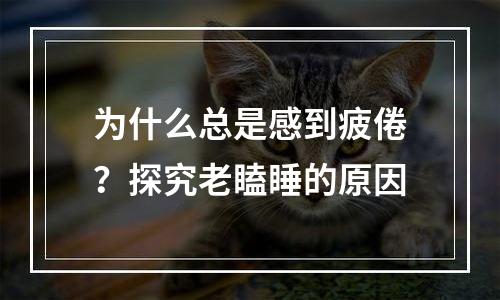 为什么总是感到疲倦？探究老瞌睡的原因
