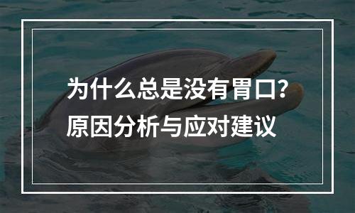 为什么总是没有胃口？原因分析与应对建议