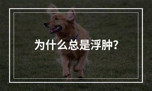 为什么总是浮肿？