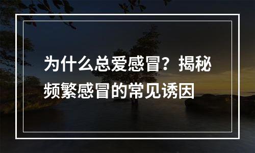 为什么总爱感冒？揭秘频繁感冒的常见诱因