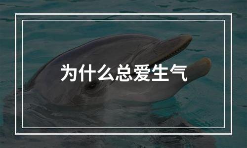 为什么总爱生气