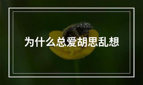 为什么总爱胡思乱想