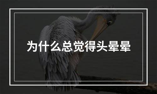 为什么总觉得头晕晕