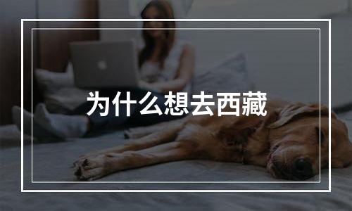 为什么想去西藏
