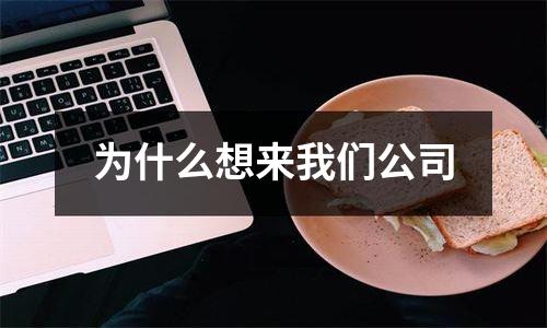 为什么想来我们公司