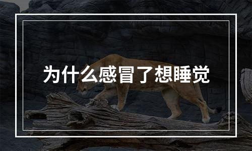 为什么感冒了想睡觉