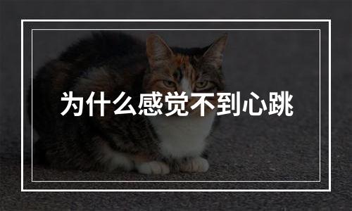为什么感觉不到心跳