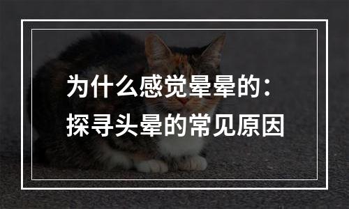 为什么感觉晕晕的：探寻头晕的常见原因
