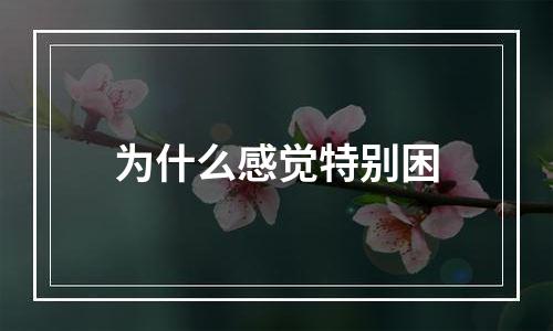 为什么感觉特别困