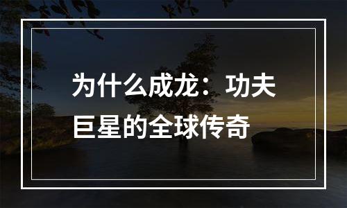 为什么成龙：功夫巨星的全球传奇
