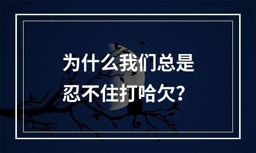 为什么我们总是忍不住打哈欠？
