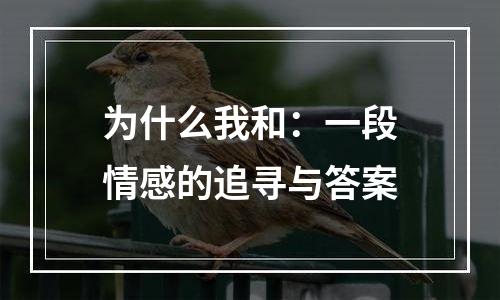 为什么我和：一段情感的追寻与答案