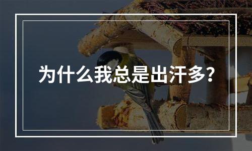 为什么我总是出汗多？