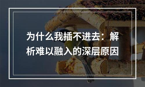 为什么我插不进去：解析难以融入的深层原因