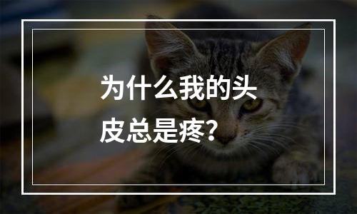 为什么我的头皮总是疼？