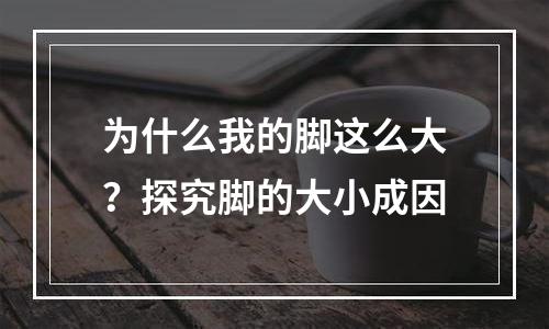 为什么我的脚这么大？探究脚的大小成因