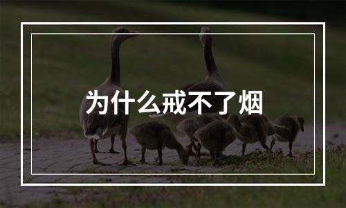 为什么戒不了烟