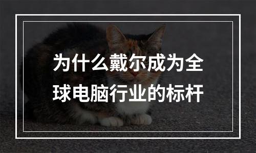 为什么戴尔成为全球电脑行业的标杆