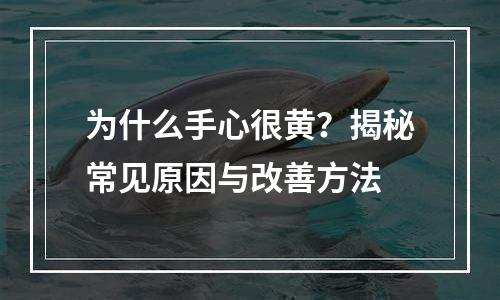 为什么手心很黄？揭秘常见原因与改善方法