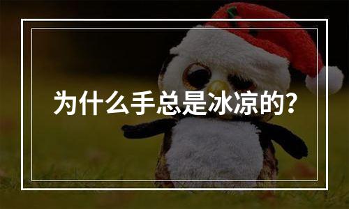 为什么手总是冰凉的？