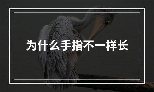 为什么手指不一样长