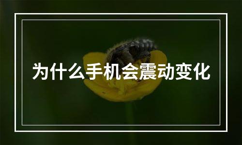 为什么手机会震动变化