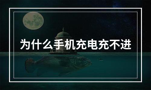 为什么手机充电充不进