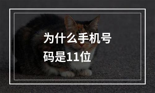 为什么手机号码是11位