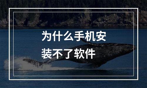 为什么手机安装不了软件