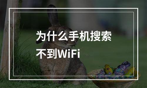 为什么手机搜索不到WiFi