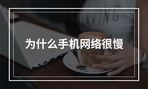 为什么手机网络很慢