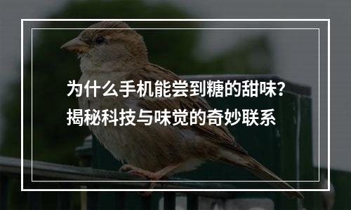 为什么手机能尝到糖的甜味？揭秘科技与味觉的奇妙联系