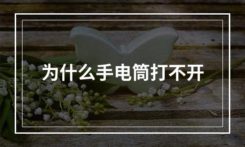 为什么手电筒打不开