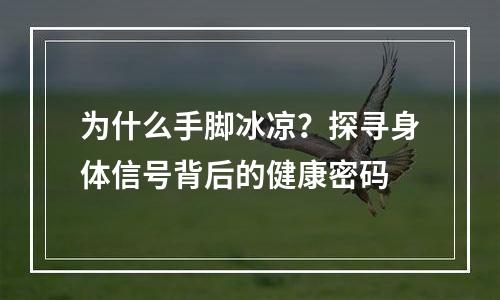 为什么手脚冰凉？探寻身体信号背后的健康密码