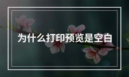 为什么打印预览是空白