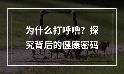 为什么打呼噜？探究背后的健康密码