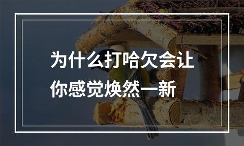 为什么打哈欠会让你感觉焕然一新