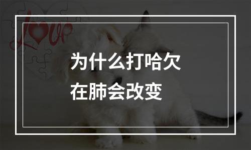 为什么打哈欠在肺会改变