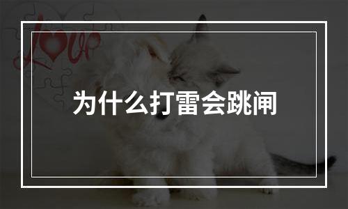 为什么打雷会跳闸