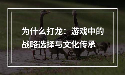 为什么打龙：游戏中的战略选择与文化传承