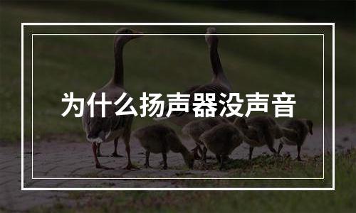 为什么扬声器没声音