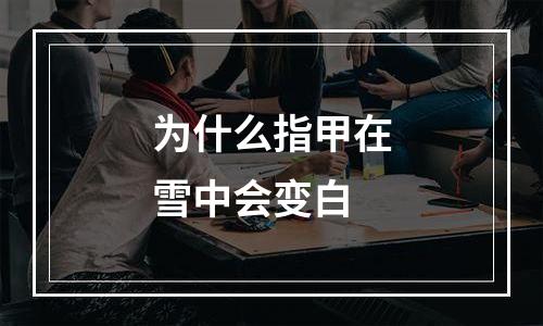 为什么指甲在雪中会变白