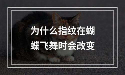 为什么指纹在蝴蝶飞舞时会改变