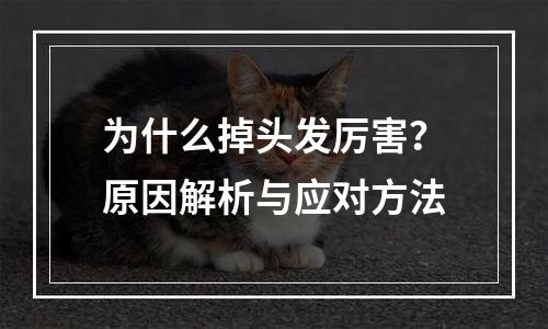 为什么掉头发厉害？原因解析与应对方法