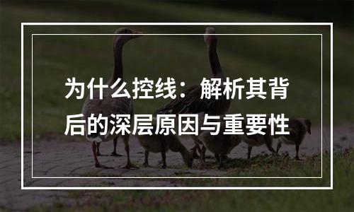 为什么控线：解析其背后的深层原因与重要性