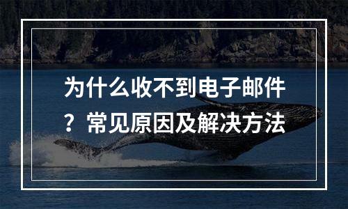 为什么收不到电子邮件？常见原因及解决方法